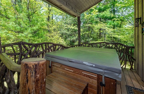 Lake Toxaway Cabin | Deer Lodge - Gorgeous Cabin with Hot Tub & Pickleball - Near Hiking + Waterfalls