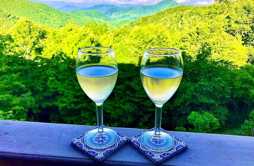 Wolf Laurel Condo | DIRECT MOUNTAIN VIEWS! Hike & swim on-site! Private balcony! WOW!