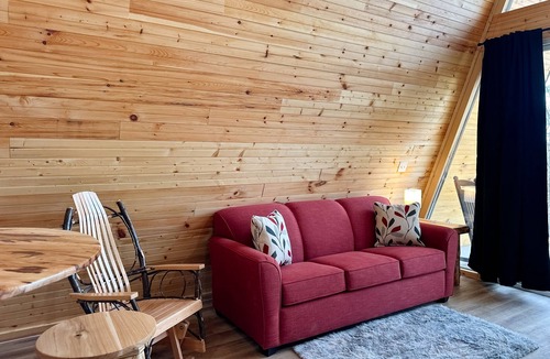 Newport Cabin | Dog-friendly cabin with mountain views, loft, & kitchen - near Douglas Lake