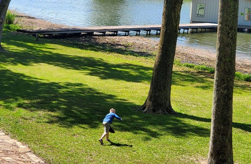 Scottsboro House | Dora Jean's Lake Front Fishing Cabin w/boathouse, on Lake Guntersville Sleeps12