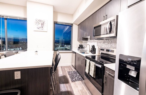 Downtown Apartment | Downtown Silver Spring 2BR Luxury Apt with Rooftop Pool & Metro access