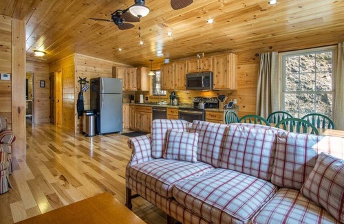 Pisgah Forest Cabin | Eagles Nest, Creekside with Firepit