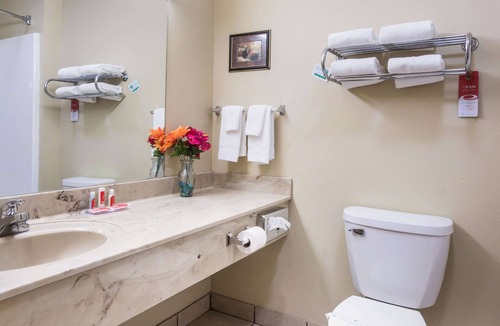Rockmart Hotel | Econo Lodge Inn & Suites Rockmart
