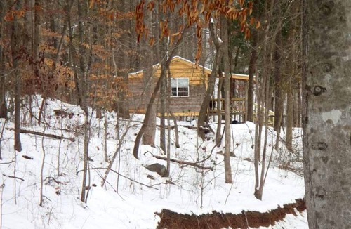 Joppa House | Enchanting Cabin Rental in the Woods with Shared Hot Tub near Arab, Alabama