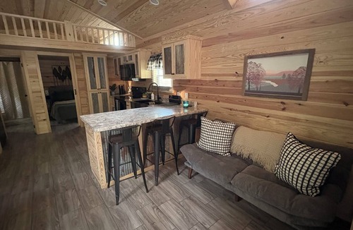 Waynesville Cabin | Escape to the beauty of the mountains in this cozy 2-bedroom tiny home.