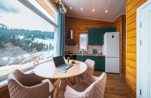 Hoodsport Apartment | Flat