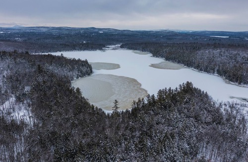 Jay House | Forest Bathing: Off-Grid Tiny Home, Pond w/Kayak