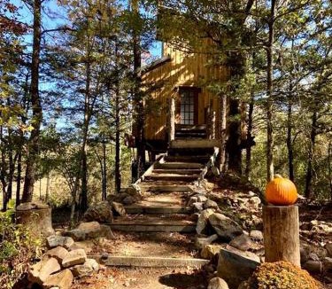Boles House | Gorgeous Chic Treehouse with Lofted Interior and Panoramic Views in Arkansas