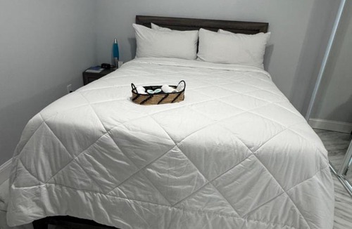 Seffner Community Alliance Apartment | Great apartment in Valrico