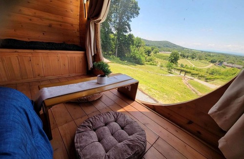 Arlington Cabin | Incredibly Unique Barrel Pod on a Beautiful Private Vineyard with Breathtaking Views for an Unforgettable Glamping Experience in Jonesville, North Car