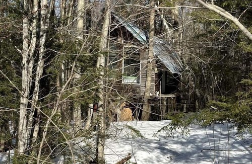 Dorchester House | Into the Woods: Discover Our Charming Rustic Treehouse in Dorchester, NH