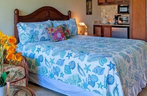 Wailua Condo | Islander on the Beach 259-walk to everything, AC, ocean view, cute for couple