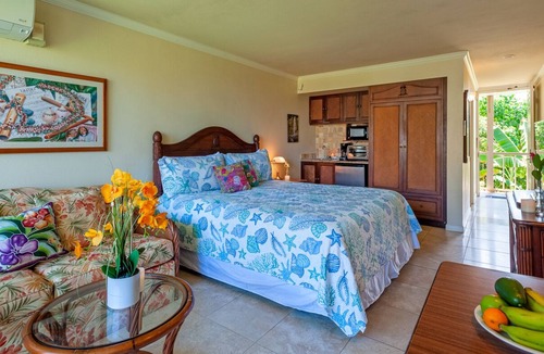 Wailua Condo | Islander on the Beach 259-walk to everything, AC, ocean view, cute for couple
