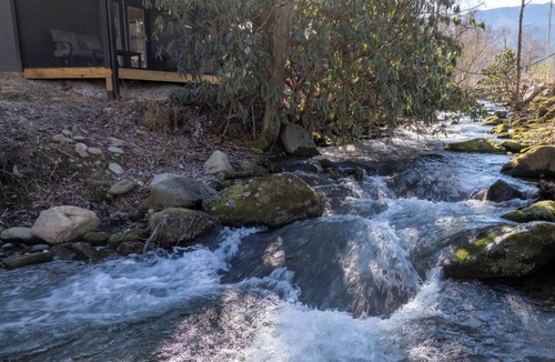 Cosby Cottage | Ivy's Cottage, Pickleball Court, Creek, WIFI, Mountain Views, Starting at $50"