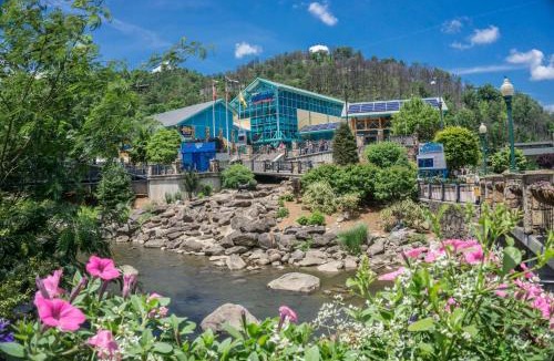 Rocky Grove House | Little Bird Cabin by American Patriot Getaways