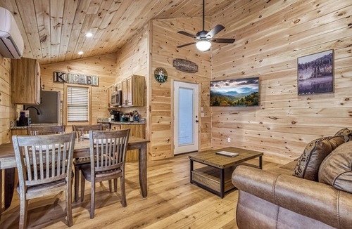 Cosby Cottage | Little Gem Cabin, Pickleball Court, Creek, WIFI, Mountain Views, Starting at $79
