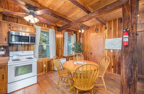 Hot Springs Cabin | Magical Cabin - River Access - Minutes from Town