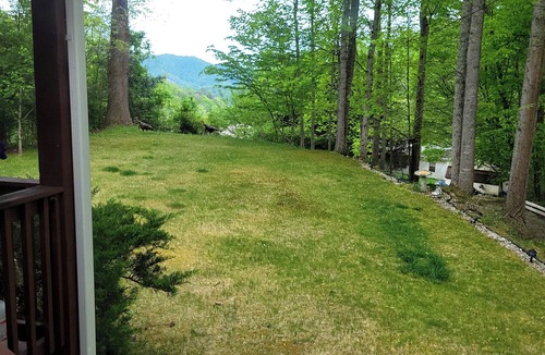Mars Hill House | MARS HILL HIDEOUT. 3/2manufactured home with AC/heat. Near Mars Hill University