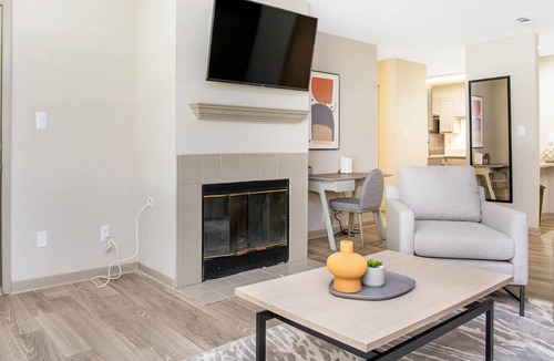 Huntsville Apartment | Modern Apartment in Prime Location (ID9791X24)