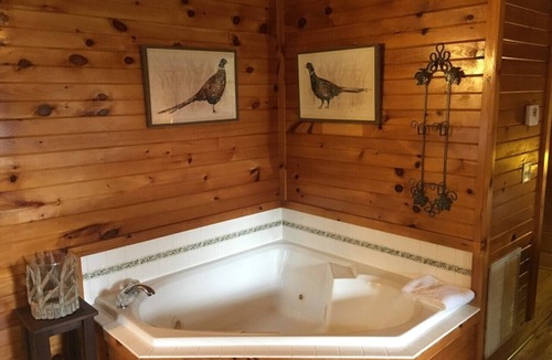Stoney Ridge House | MOUNTAIN JOY COTTAGES #12 - Feathered Friends