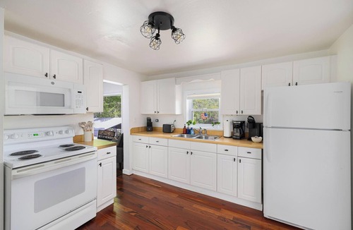 Roan Mountain Cabin | Mountain View Cottage | Near Roan Mountain Park