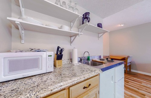 Baneberry House | Near Douglas Lake, 1st Floor Studio, Dog Friendly