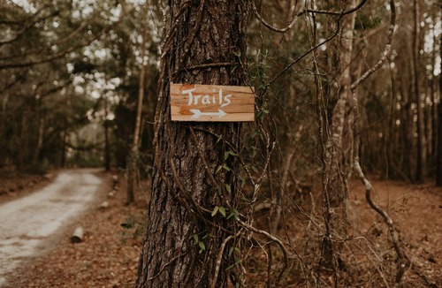 Wadmalaw Island House | New Listing! Treehouse Away From It All, Romantic Retreat