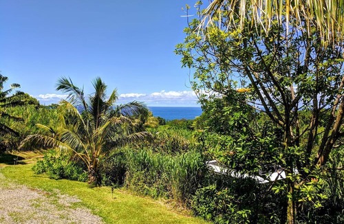 Pepeekeo Cabin | Ocean View King Rental near Akaka Falls, Hawaii