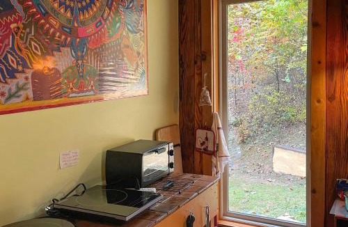 Marshall Apartment | Pet-Friendly Leicester/Asheville Mtn View Escape