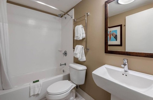 Jekyll Island Hotel | Pet Friendly Stay | Onsite Pool | Free Breakfast | Free Parking | Pets Allowed