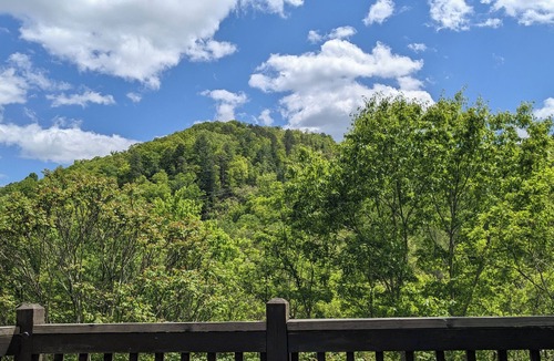 Hot Springs Cottage | Private Trail Access, Mountain and Creek Views, Short Walk to Town