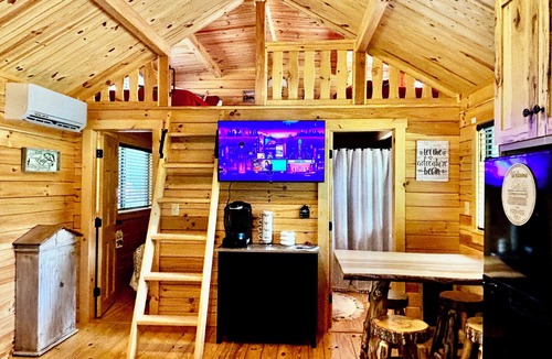 Canton Cabin | Riverfront Mountain Cabin w/Walk-In/Beach Access to the Pigeon River