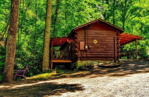 Cherokee Cabin | Romantic Log Cabin in Wooded Setting near Cherokee, North Carolina