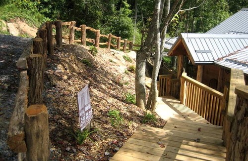 Clyde Cabin | Romantic One-Bedroom Cabin with a Fireplace near Asheville, North Carolina