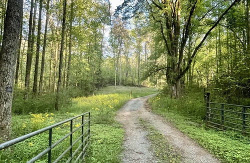 Ellijay House | Romantic StackRock Cabin – An Exclusive, Centrally Located Retreat.