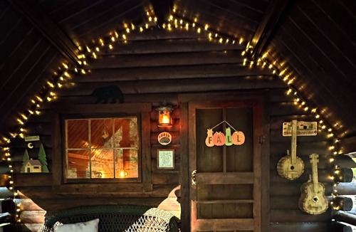 Cosby Cottage | Rustic cabin, tin roof, forest getaway!