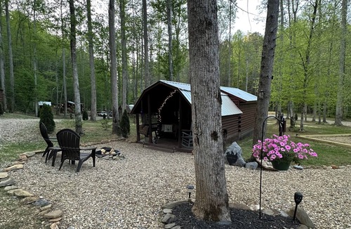 Cosby Cottage | Rustic cabin, tin roof, forest getaway!