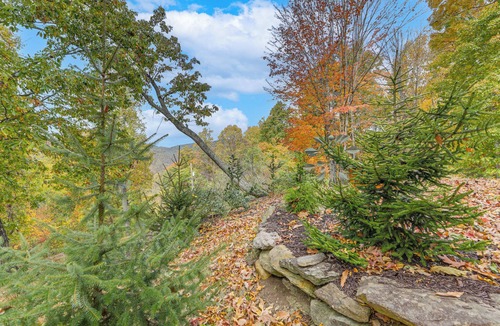 Mars Hill Cottage | Secluded Mtn-view Retreat in Mars Hill