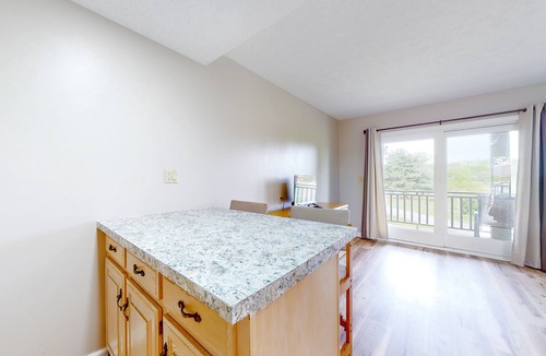 Baneberry Apartment | Second-floor studio with quiet view, patio & gym - walk to Douglas Lake, dogs OK
