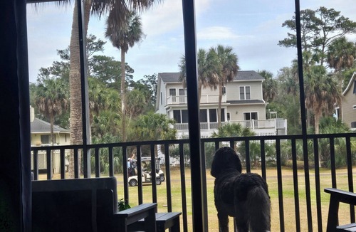 Ocean Ridge House | Serene sanctuary in the trees! First floor with ramp. Chef's kitchen.