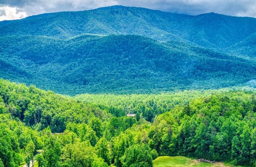 Cosby Ski Chalet | Serenity Brook- Pickleball Court, Creek, WIFI, Mountain Views, Starting at 99