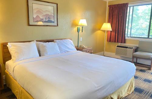 Kodak Hotel | Smokies Inn - New Linens & Ultrafast WIFI - Friendliest Hospitality Guaranteed!