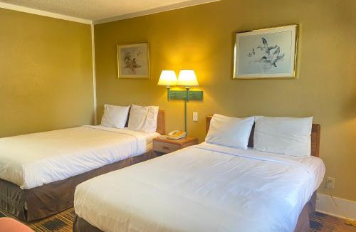 Kodak Hotel | Smokies Inn - New Linens & Ultrafast WIFI - Friendliest Hospitality Guaranteed!