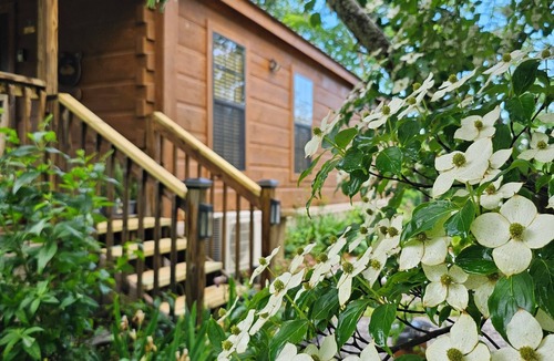 Sevierville Cabin | Smoky Mountain Lake Group Cabins-Stay 7 Nights and Get One Free!