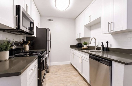 Beach Park Apartment | South Tampa Resort Retreat Pool & Gym