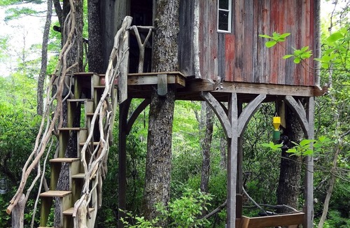 Lake Toxaway Cabin | Squirrel's Nest - Cozy Cabin w/Pickleball and Tennis On Site