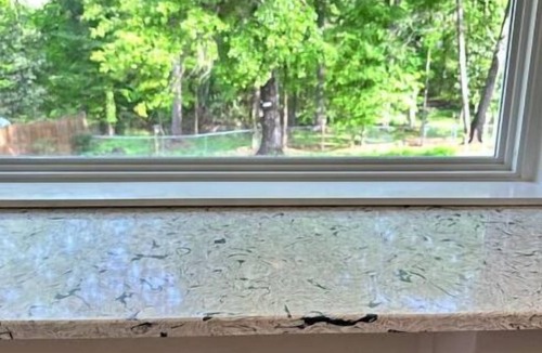 Macon House | Sunny Bird Sanctuary; 3 King Bds; Bike Dwntwn; EV
