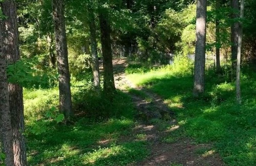 Powder Springs RV Rental | Tentrr Signature Site - Back 40 Shanty B