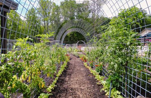 Balsam Grove House | The A-Frame- Solace at Valley Bear Farms Resort