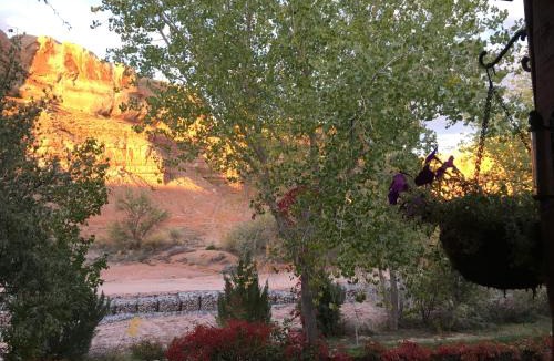 Bluff Bed & Breakfast | The Canyon Wren